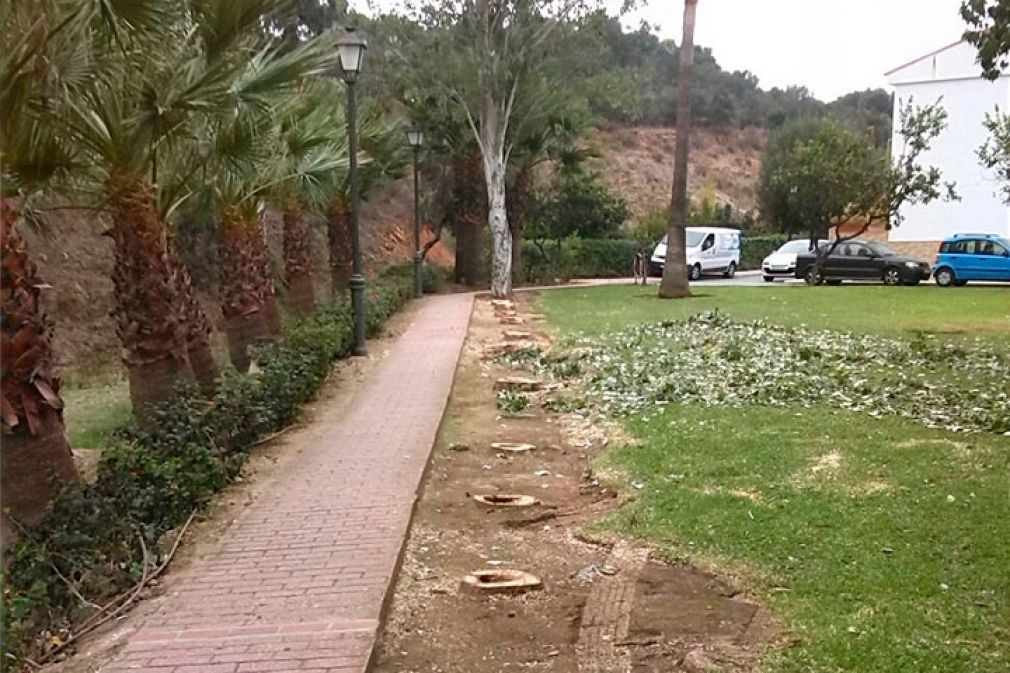 Seg&uacute;n los populares, se trata de una tala &ldquo;indiscriminada&rdquo;.