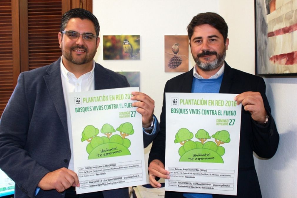 Se plantar&aacute;n 200 alcornoques, aladiernos y acebuches.