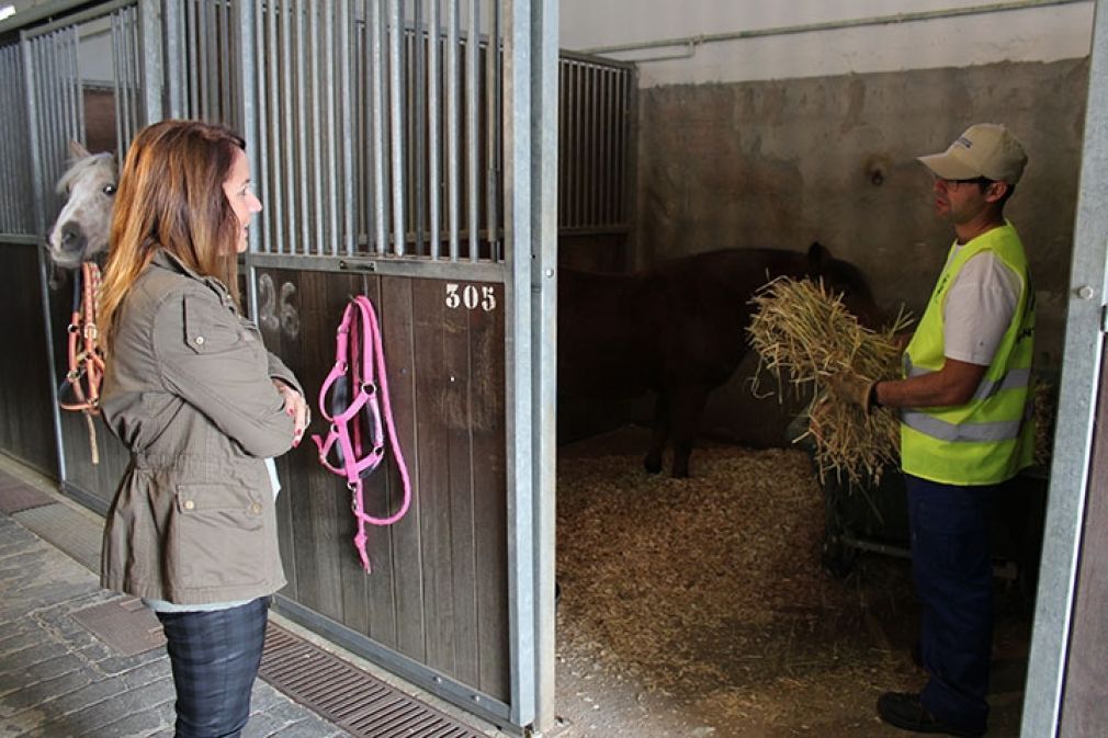La consejera delegada de Mijas Servicios Complementarios, Laura Moreno (PSOE), ha informado hoy de la incorporaci&oacute;n de cuatro trabajadores para el mantenimiento de las instalaciones.