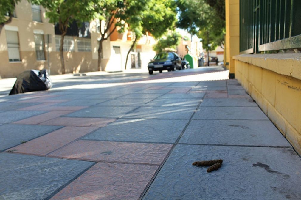 Como soluci&oacute;n proponen que se aumente la vigilancia policial sobre las zonas m&aacute;s afectadas.