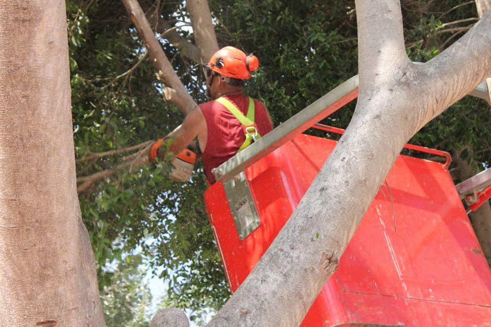 Las labores de saneamiento se llevan a cabo en Las Lagunas