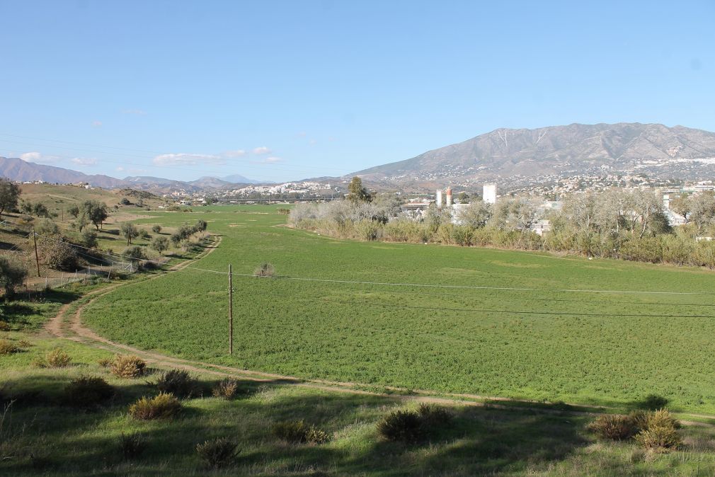 La parcela está en el Cortijo del Ahogadero, frente al cementerio San Cayetano.