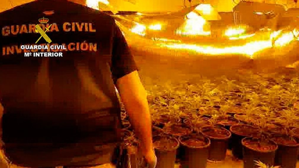 La banda contaba con plantaciones indoor de marihuana en urbanizaciones de Mijas, Marbella y Estepona.