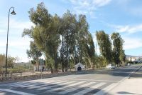 El portavoz del Grupo Municipal Popular, &Aacute;ngel Nozal, solicit&oacute; al equipo de gobierno que pintase m&aacute;s pasos de cebra e instalase m&aacute;s farolas en el entorno del parque de El Esparragal. 